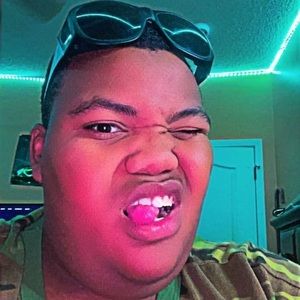 Meet your Posher, Dylan